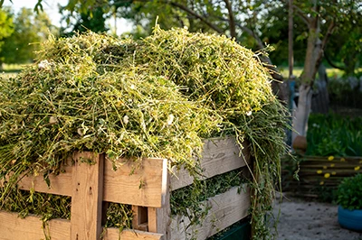 Végéterie de déchets verts