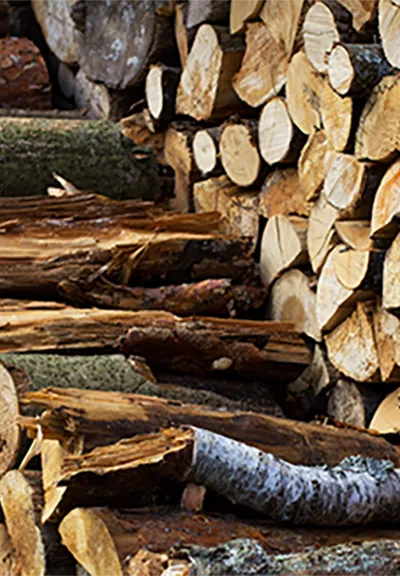 Bois de chauffage