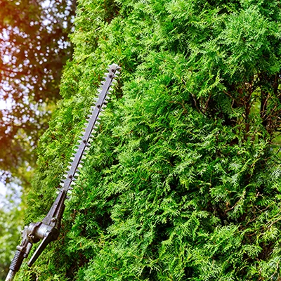 CTA Besoin service espaces verts