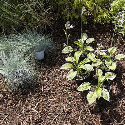 CTA besoin pour paillage et compost