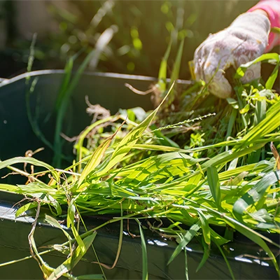 CTA pour besoin de solution pour des déchets verts