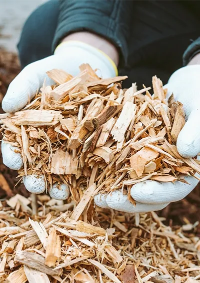 Paillage local à Angles en Vendée