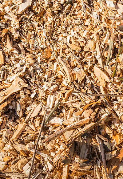 Plaquettes de bois locales