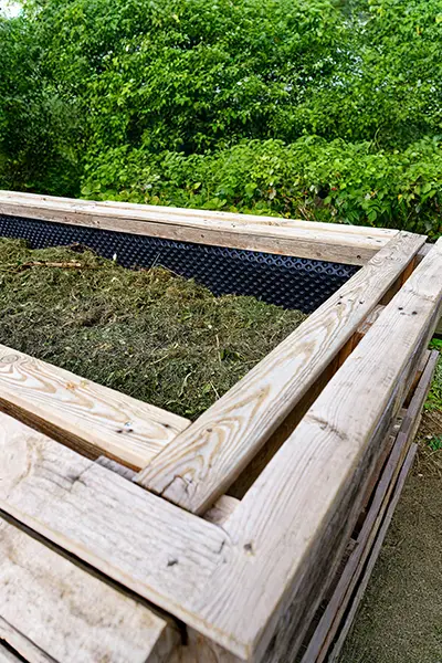 Végèterie de St Cyr en Talmondais